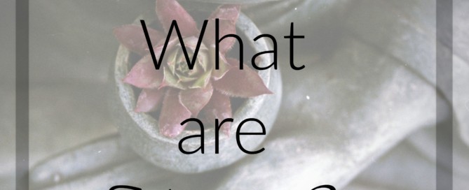 Divine Lotus Healing | What are Mantras