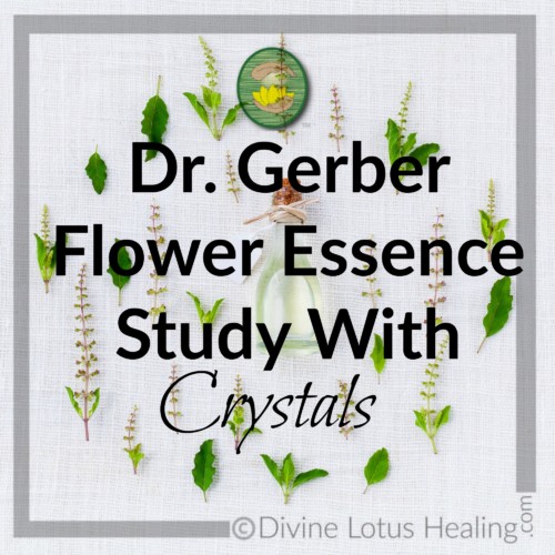 Divine Lotus Healing | Dr Gerber Flower Essence Study With Crystals