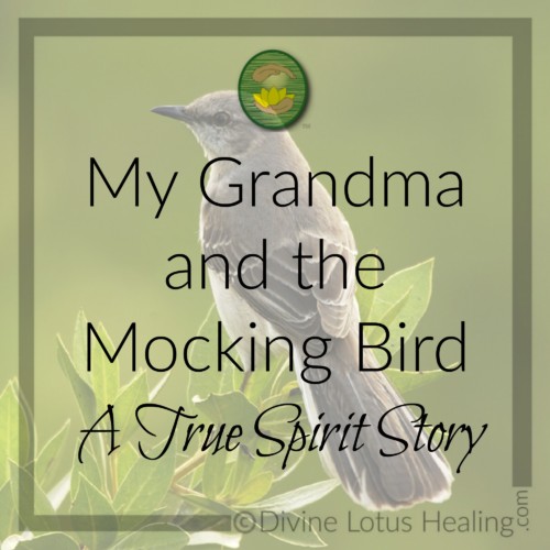 Divine Lotus Healing | My Grandma and the Mockingbird a True Spirit Story