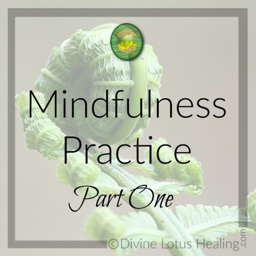 Divine Lotus Healing | Mindfulness Practice Part 1