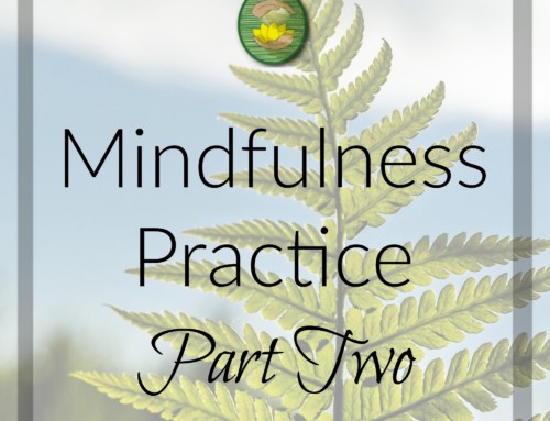 Mindfulness Practice Part 2