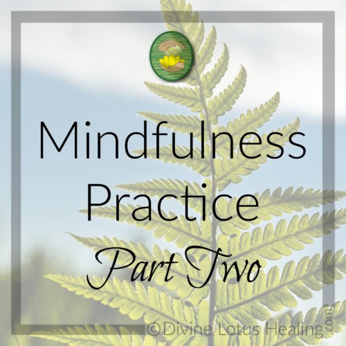 Divine Lotus Healing | Mindfulness Practice Part 2