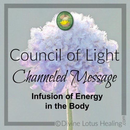 Divine Lotus Healing Council of Light Channeled Message Infusion of Energy in the Body