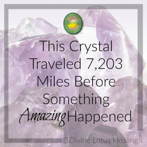 Divine Lotus Healing | This Crystal Traveled 7,203 Miles Before Something Amazing Happened