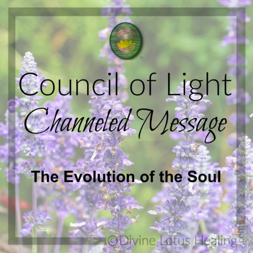 Divine Lotus Healing Council of Light Channeled Message The Evolution of the Soul