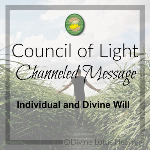 Divine Lotus Healing Council of Light Channeled Message Individual and Divine Will