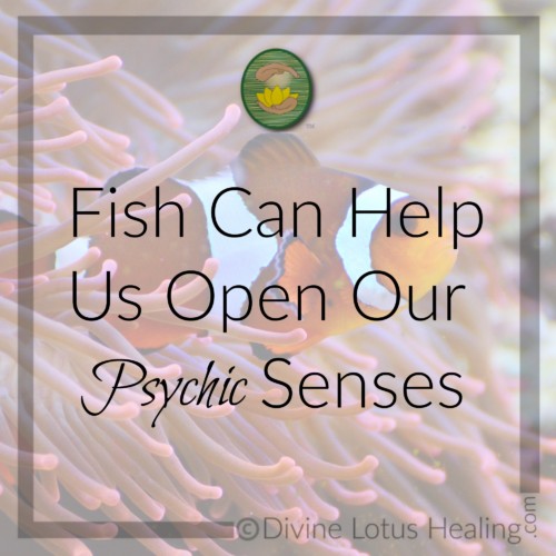 Divine Lotus Healing | Fish Can Help Us Open Our Psychic Senses