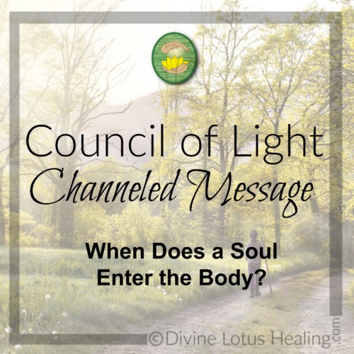 Divine Lotus Healing Council of Light Channeled Message When Does a Soul Enter the Body