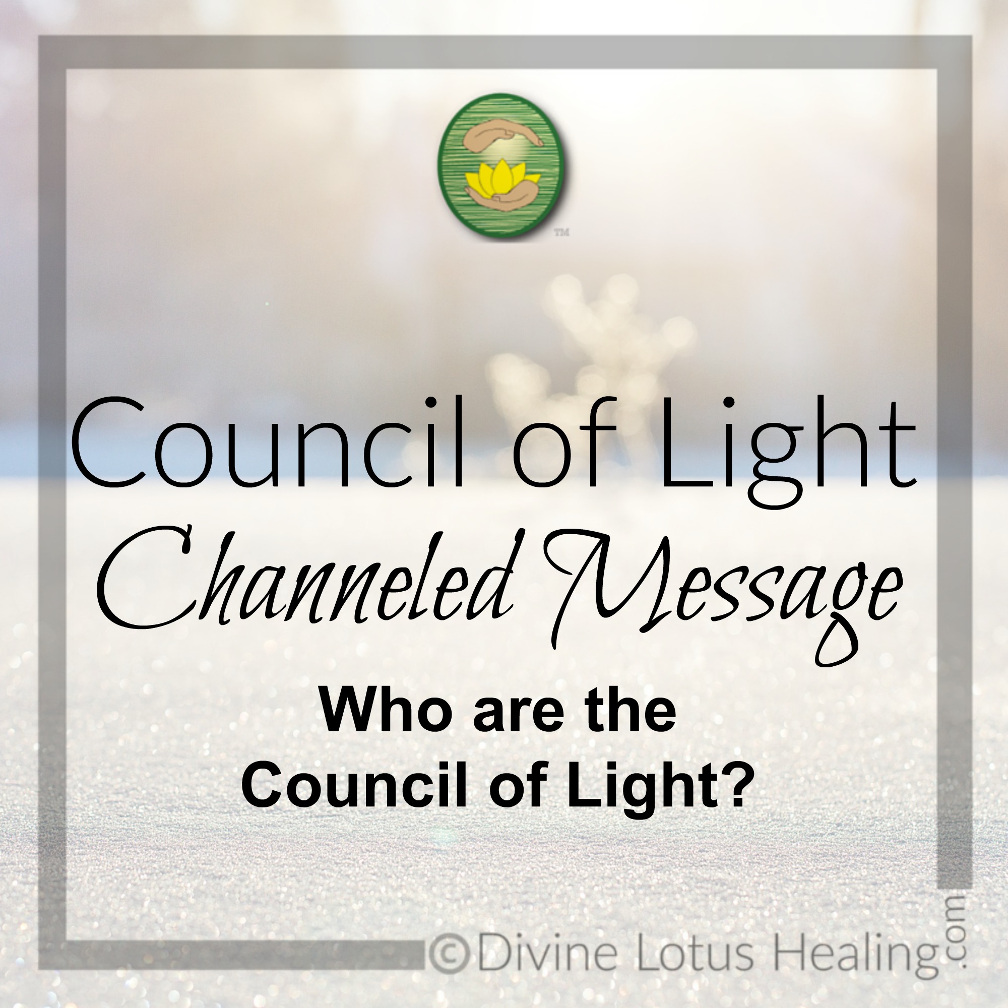 light regional council phone number