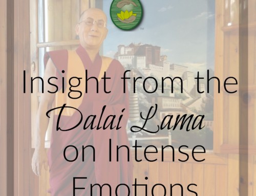 Insight from the Dalai Lama on Intense Emotions