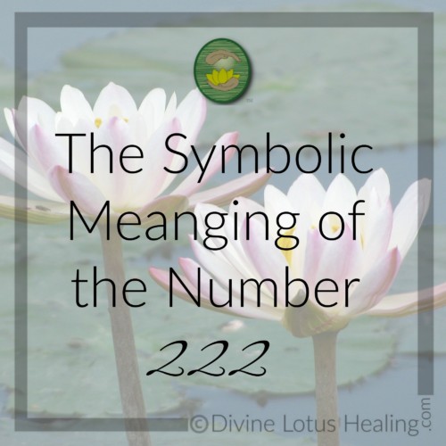 Divine Lotus Healing | The Symbolic Meaning of the Number Two