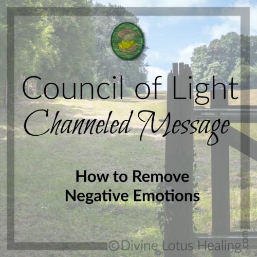 Divine Lotus Healing Council of Light Channeled Message How to Remove Negative Emotions