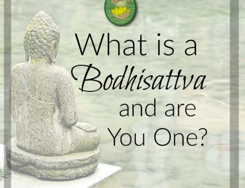 What is a Bodhisattva and are You One