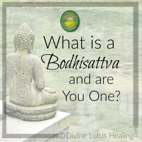 Divine Lotus Healing | What is a Bodhisattva