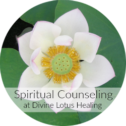 Spiritual Counseling 250