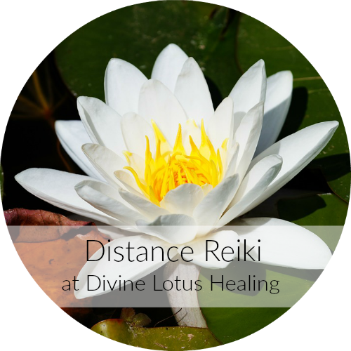 Distance Reiki at Divine Lotus Healing 500 Divine Lotus Healing Distance Reiki Session