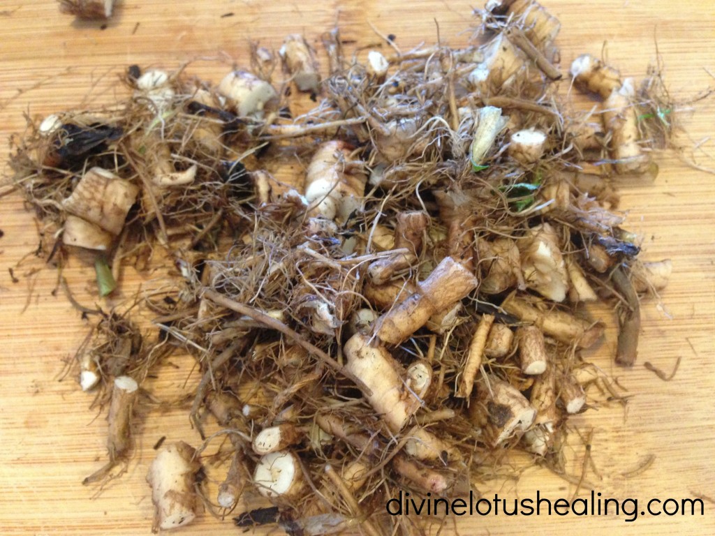 dandelion chopped root