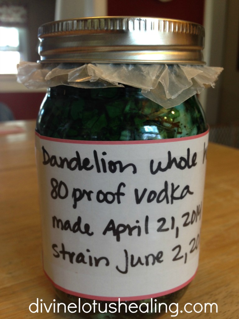 dandelion labeled