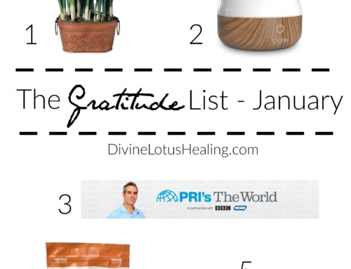 The Gratitude List January 2017