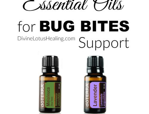 Essential Oils for Bug Bites Support