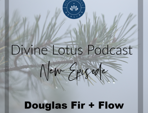 Douglas Fir Oil and Being in Flow