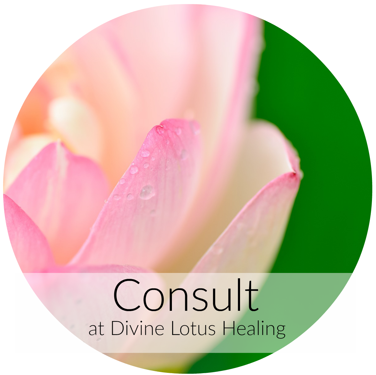 Consult at DLH Round