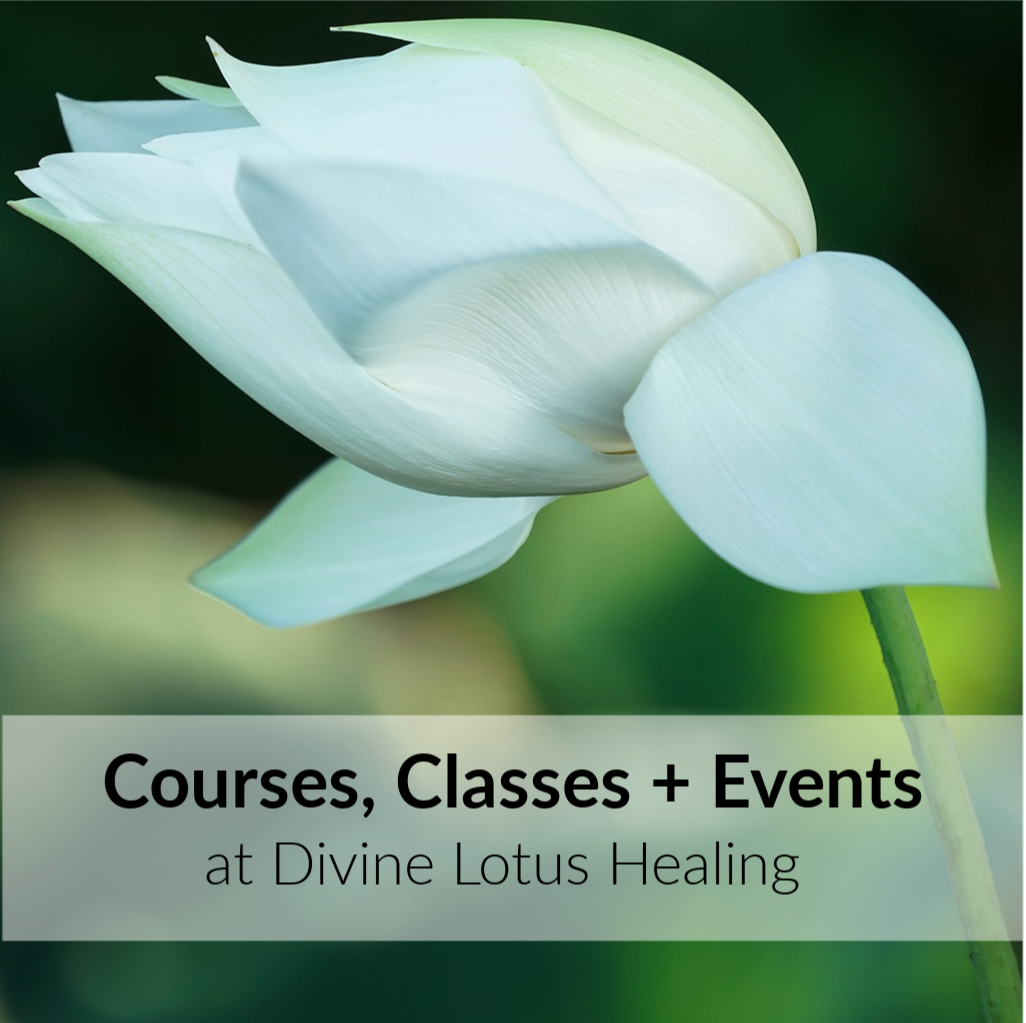 Divine Lotus Healing Courses