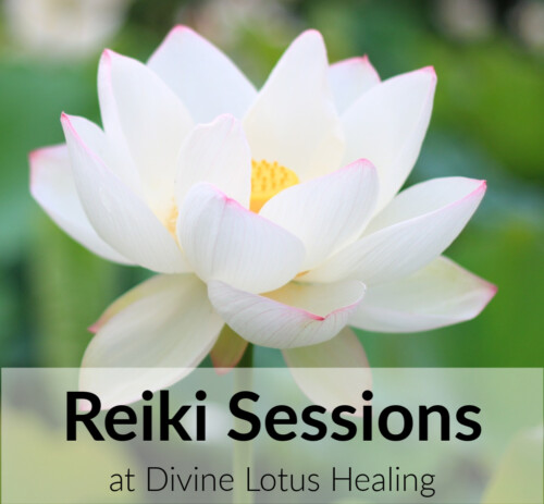 Reiki Sessions at Divine Lotus Healing