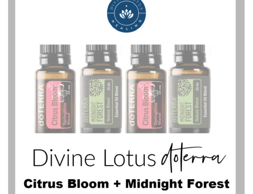 Citrus Bloom and Midnight Forest Oils