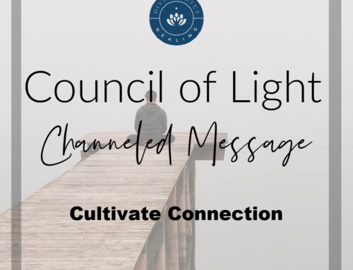 Cultivate Connection Channeled Message