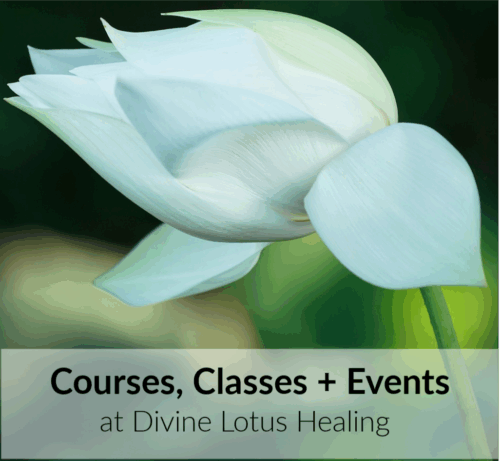 Divine Lotus Healing Courses