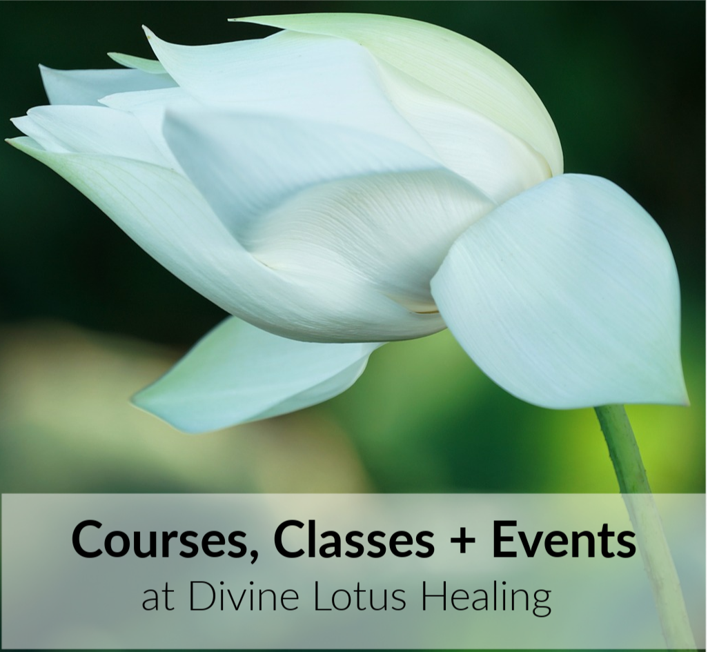 Courses Classes Events at Divine Lotus Healing copy Divine Lotus Healing Courses