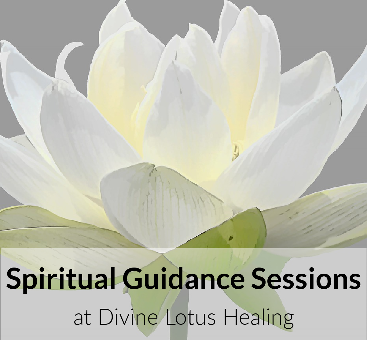 Spiritual Coaching at Divine Lotus Healing
