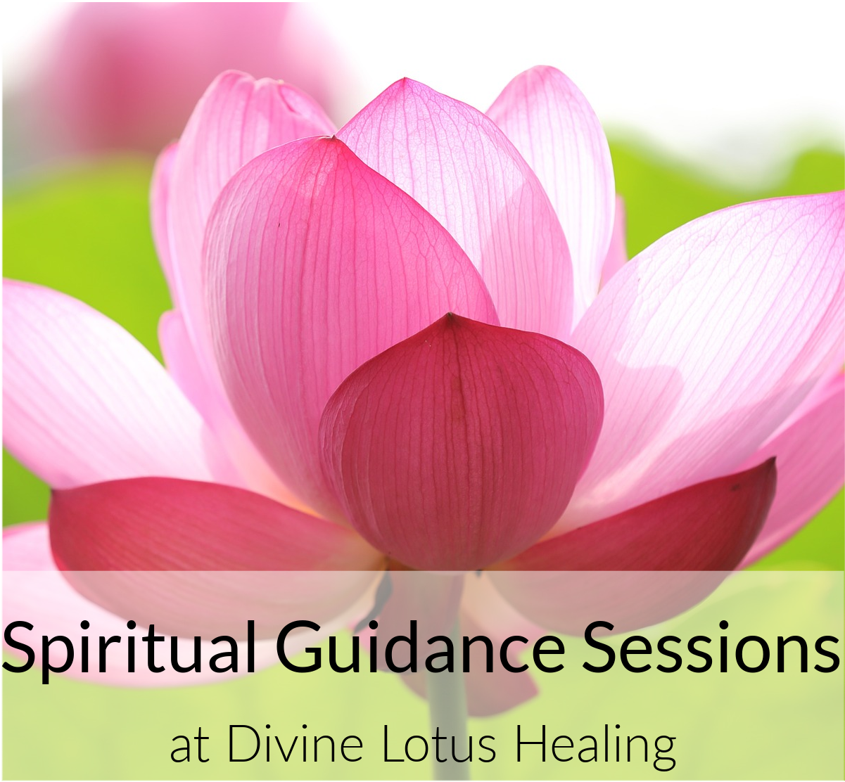 spiritual guidance sessions Spiritual Coaching at Divine Lotus Healing